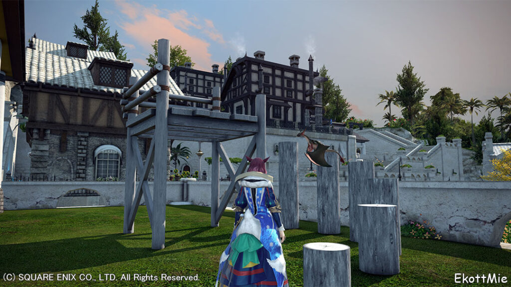 スノウホワイトで染色